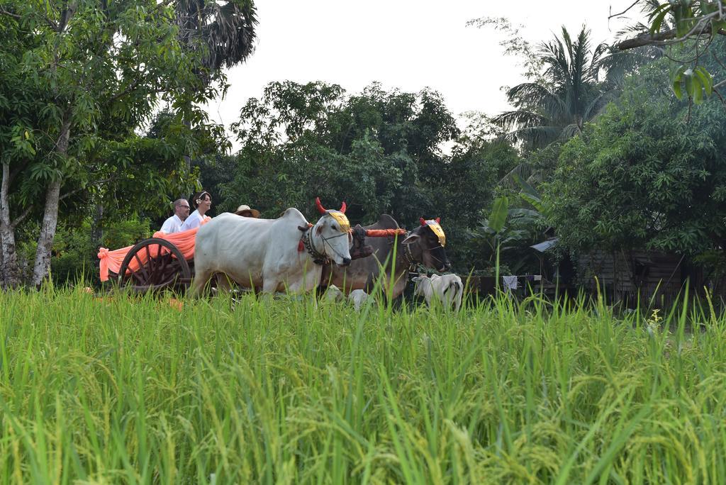 Angkor Rural Boutique Resort Сиемрип Экстерьер фото