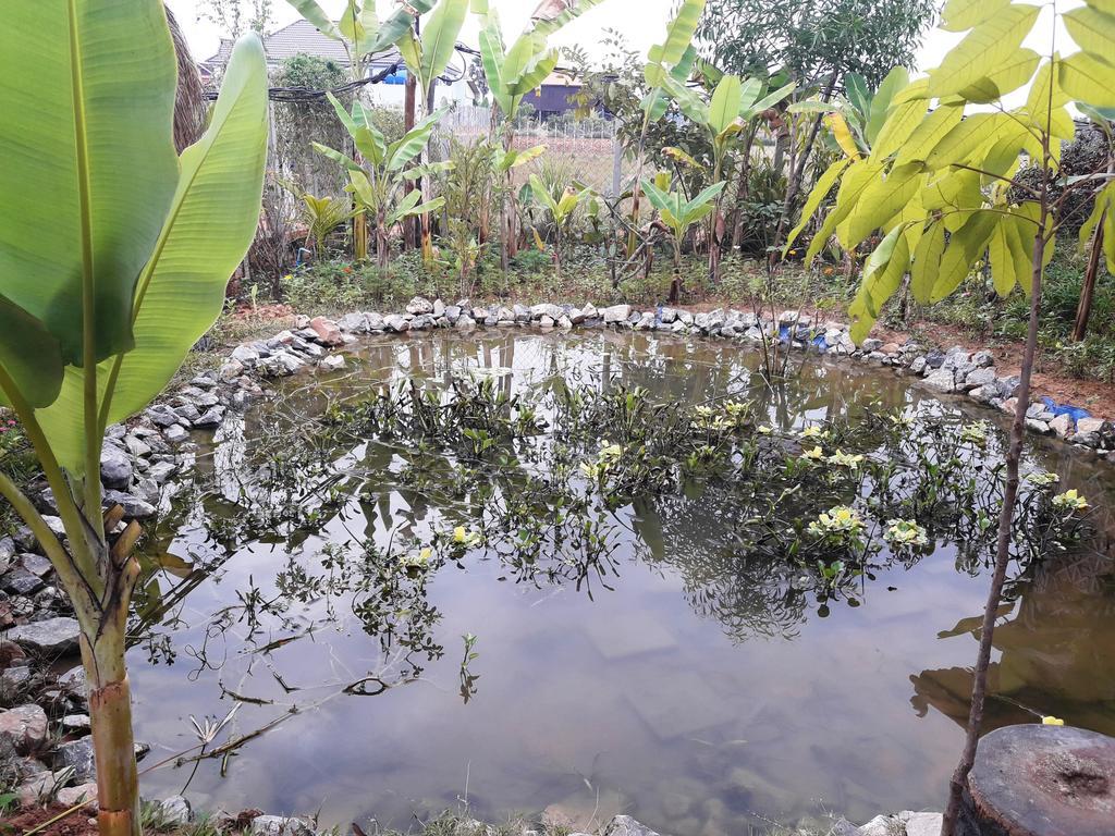 Angkor Rural Boutique Resort Сиемрип Экстерьер фото