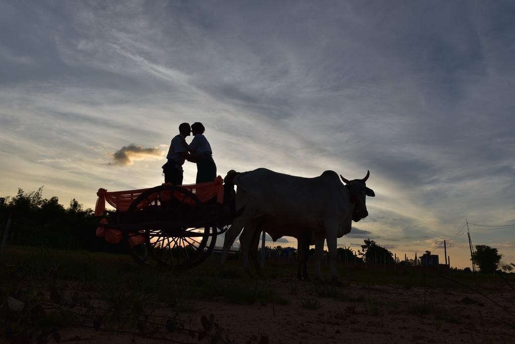 Angkor Rural Boutique Resort Сиемрип Экстерьер фото